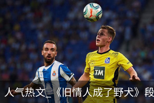 人气热文 《旧情人成了野犬》段复津谈轻棠 谈雾亦段珩常